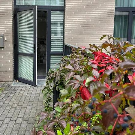 Locusdo No. 137 Near Ozas, Akropolis Apartment Vilnius