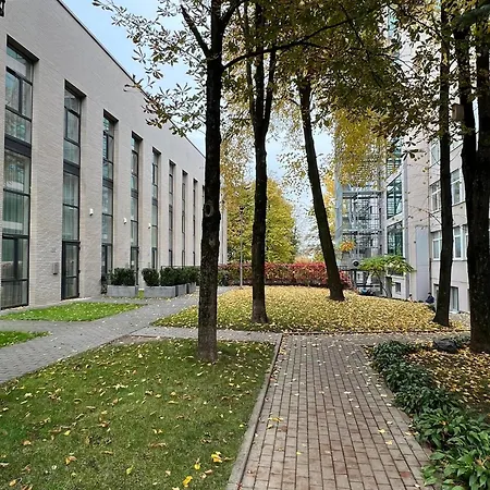 Locusdo No. 137 Near Ozas, Akropolis *